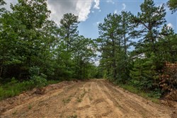 property photo for Eagles Nest Ranch Tract 32, 8.12 acres for sale in Pushmataha County, Oklahoma