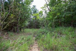property photo for Eagles Nest Ranch Tract 32, 8.12 acres for sale in Pushmataha County, Oklahoma