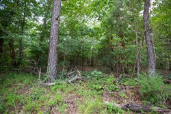 property photo for Eagles Nest Ranch Tract 32, 8.12 acres for sale in Pushmataha County, Oklahoma