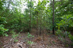 property photo for Eagles Nest Ranch Tract 32, 8.12 acres for sale in Pushmataha County, Oklahoma