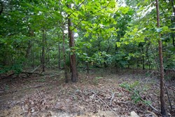 property photo for Eagles Nest Ranch Tract 32, 8.12 acres for sale in Pushmataha County, Oklahoma
