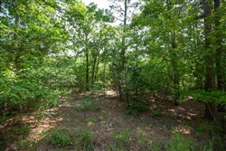 property photo for Eagles Nest Ranch Tract 33, 11.14 acres for sale in Pushmataha County, Oklahoma