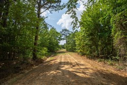 property photo for Eagles Nest Ranch Tract 33, 11.14 acres for sale in Pushmataha County, Oklahoma