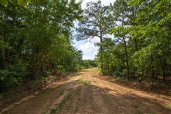 property photo for Eagles Nest Ranch Tract 33, 11.14 acres for sale in Pushmataha County, Oklahoma