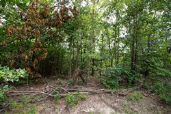 property photo for Eagles Nest Ranch Tract 33, 11.14 acres for sale in Pushmataha County, Oklahoma