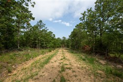 property photo for Eagles Nest Ranch Tract 34, 10.92 acres for sale in Pushmataha County, Oklahoma