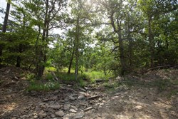 property photo for Eagles Nest Ranch Tract 34, 10.92 acres for sale in Pushmataha County, Oklahoma