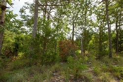 property photo for Eagles Nest Ranch Tract 34, 10.92 acres for sale in Pushmataha County, Oklahoma
