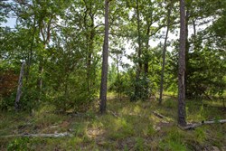 property photo for Eagles Nest Ranch Tract 34, 10.92 acres for sale in Pushmataha County, Oklahoma