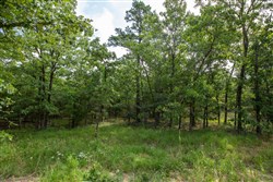 property photo for Eagles Nest Ranch Tract 34, 10.92 acres for sale in Pushmataha County, Oklahoma