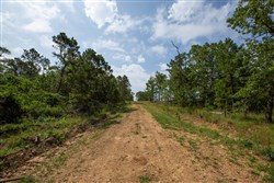 property photo for Eagles Nest Ranch Tract 35, 10.01 acres for sale in Pushmataha County, Oklahoma