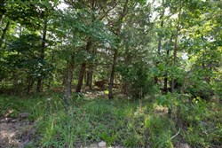 property photo for Eagles Nest Ranch Tract 35, 10.01 acres for sale in Pushmataha County, Oklahoma
