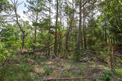 property photo for Eagles Nest Ranch Tract 35, 10.01 acres for sale in Pushmataha County, Oklahoma