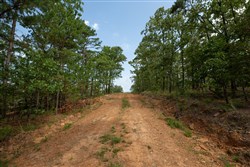 property photo for Eagles Nest Ranch Tract 35, 10.01 acres for sale in Pushmataha County, Oklahoma