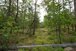 property photo for Eagles Nest Ranch Tract 35, 10.01 acres for sale in Pushmataha County, Oklahoma