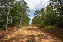 property photo for Eagles Nest Ranch Tract 36, 8.52 acres for sale in Pushmataha County, Oklahoma