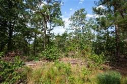 property photo for Eagles Nest Ranch Tract 36, 8.52 acres for sale in Pushmataha County, Oklahoma