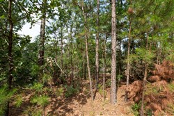 property photo for Eagles Nest Ranch Tract 36, 8.52 acres for sale in Pushmataha County, Oklahoma