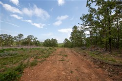 property photo for Eagles Nest Ranch Tract 36, 8.52 acres for sale in Pushmataha County, Oklahoma