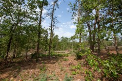 property photo for Eagles Nest Ranch Tract 36, 8.52 acres for sale in Pushmataha County, Oklahoma