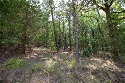 property photo for Eagles Nest Ranch Tract 37, 9.65 acres for sale in Pushmataha County, Oklahoma