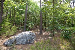 property photo for Eagles Nest Ranch Tract 37, 9.65 acres for sale in Pushmataha County, Oklahoma