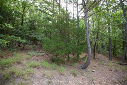 property photo for Eagles Nest Ranch Tract 37, 9.65 acres for sale in Pushmataha County, Oklahoma