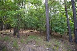 property photo for Eagles Nest Ranch Tract 37, 9.65 acres for sale in Pushmataha County, Oklahoma