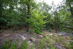 property photo for Eagles Nest Ranch Tract 37, 9.65 acres for sale in Pushmataha County, Oklahoma
