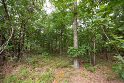property photo for Eagles Nest Ranch Tract 38, 9.52 acres for sale in Pushmataha County, Oklahoma