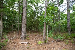 property photo for Eagles Nest Ranch Tract 38, 9.52 acres for sale in Pushmataha County, Oklahoma