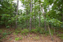 property photo for Eagles Nest Ranch Tract 38, 9.52 acres for sale in Pushmataha County, Oklahoma