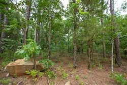 property photo for Eagles Nest Ranch Tract 38, 9.52 acres for sale in Pushmataha County, Oklahoma