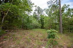 property photo for Eagles Nest Ranch Tract 38, 9.52 acres for sale in Pushmataha County, Oklahoma