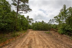 property photo for Eagles Nest Ranch Tract 39, 7.52 acres for sale in Pushmataha County, Oklahoma