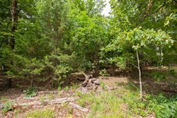 property photo for Eagles Nest Ranch Tract 39, 7.52 acres for sale in Pushmataha County, Oklahoma