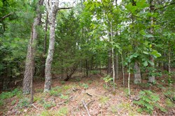 property photo for Eagles Nest Ranch Tract 39, 7.52 acres for sale in Pushmataha County, Oklahoma