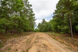 property photo for Eagles Nest Ranch Tract 39, 7.52 acres for sale in Pushmataha County, Oklahoma