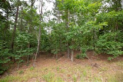 property photo for Eagles Nest Ranch Tract 39, 7.52 acres for sale in Pushmataha County, Oklahoma