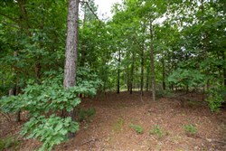 property photo for Eagles Nest Ranch Tract 39, 7.52 acres for sale in Pushmataha County, Oklahoma