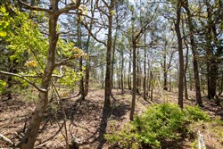 property photo for Eagles Nest Ranch Tract 4, 6.36 acres for sale in Pushmataha County, Oklahoma