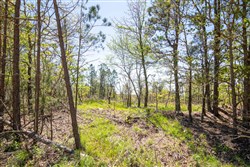property photo for Eagles Nest Ranch Tract 4, 6.36 acres for sale in Pushmataha County, Oklahoma