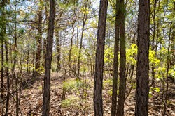 property photo for Eagles Nest Ranch Tract 4, 6.36 acres for sale in Pushmataha County, Oklahoma