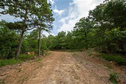 property photo for Eagles Nest Ranch Tract 40, 5.88 acres for sale in Pushmataha County, Oklahoma