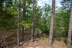 property photo for Eagles Nest Ranch Tract 40, 5.88 acres for sale in Pushmataha County, Oklahoma