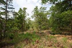 property photo for Eagles Nest Ranch Tract 40, 5.88 acres for sale in Pushmataha County, Oklahoma