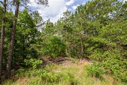 property photo for Eagles Nest Ranch Tract 40, 5.88 acres for sale in Pushmataha County, Oklahoma