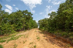 property photo for Eagles Nest Ranch Tract 40, 5.88 acres for sale in Pushmataha County, Oklahoma