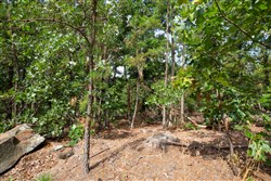 property photo for Eagles Nest Ranch Tract 40, 5.88 acres for sale in Pushmataha County, Oklahoma