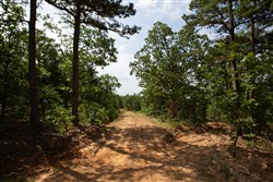 property photo for Eagles Nest Ranch Tract 41, 10.05 acres for sale in Pushmataha County, Oklahoma